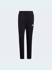 Брюки Adidas модель GT9781 Фото