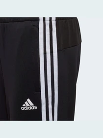 Брюки Adidas 3 Stripes модель GT9417 Фото