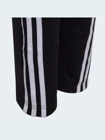 Брюки Adidas 3 Stripes модель GT9417 Фото