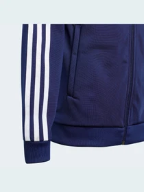 Худи и свитшоты Adidas Adicolor модель H37863 Фото