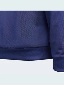 Худи и свитшоты Adidas Adicolor модель H37863 Фото