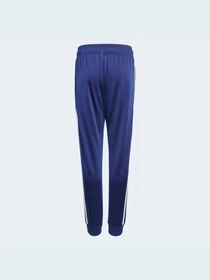 Брюки Adidas Adicolor модель H37869 Фото