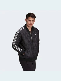 Куртки та дублянки Adidas Adicolor модель H11439 Фото