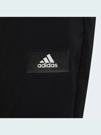 Штани Adidas модель GT9411 Фото