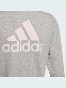 Худи и свитшоты Adidas модель GS2172 Фото