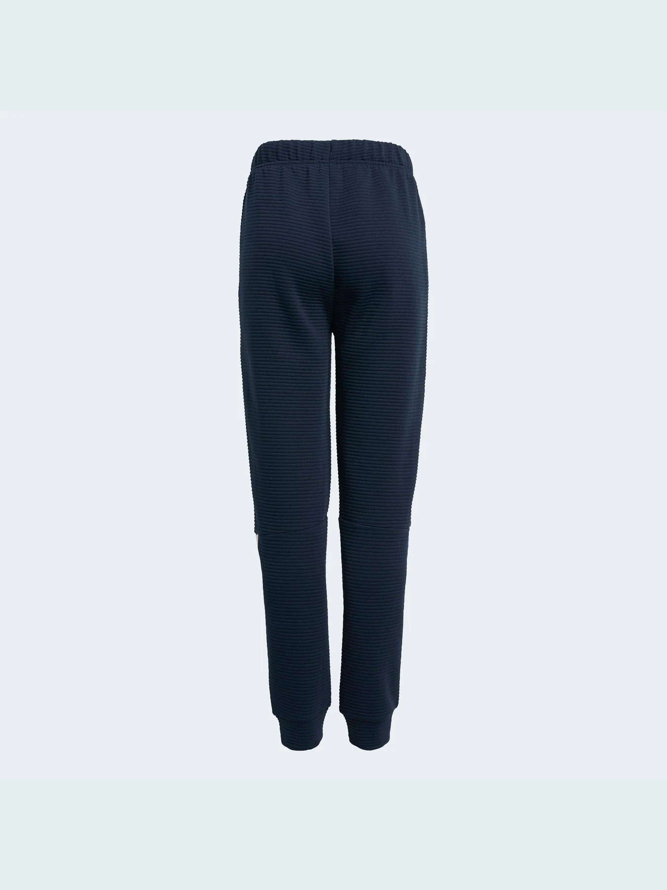 Брюки Adidas модель H10219 Брюки Adidas модель H10219 Фото