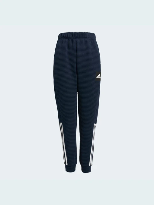Брюки Adidas модель H10219 Фото