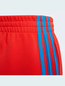 Брюки Adidas модель H26666 Фото