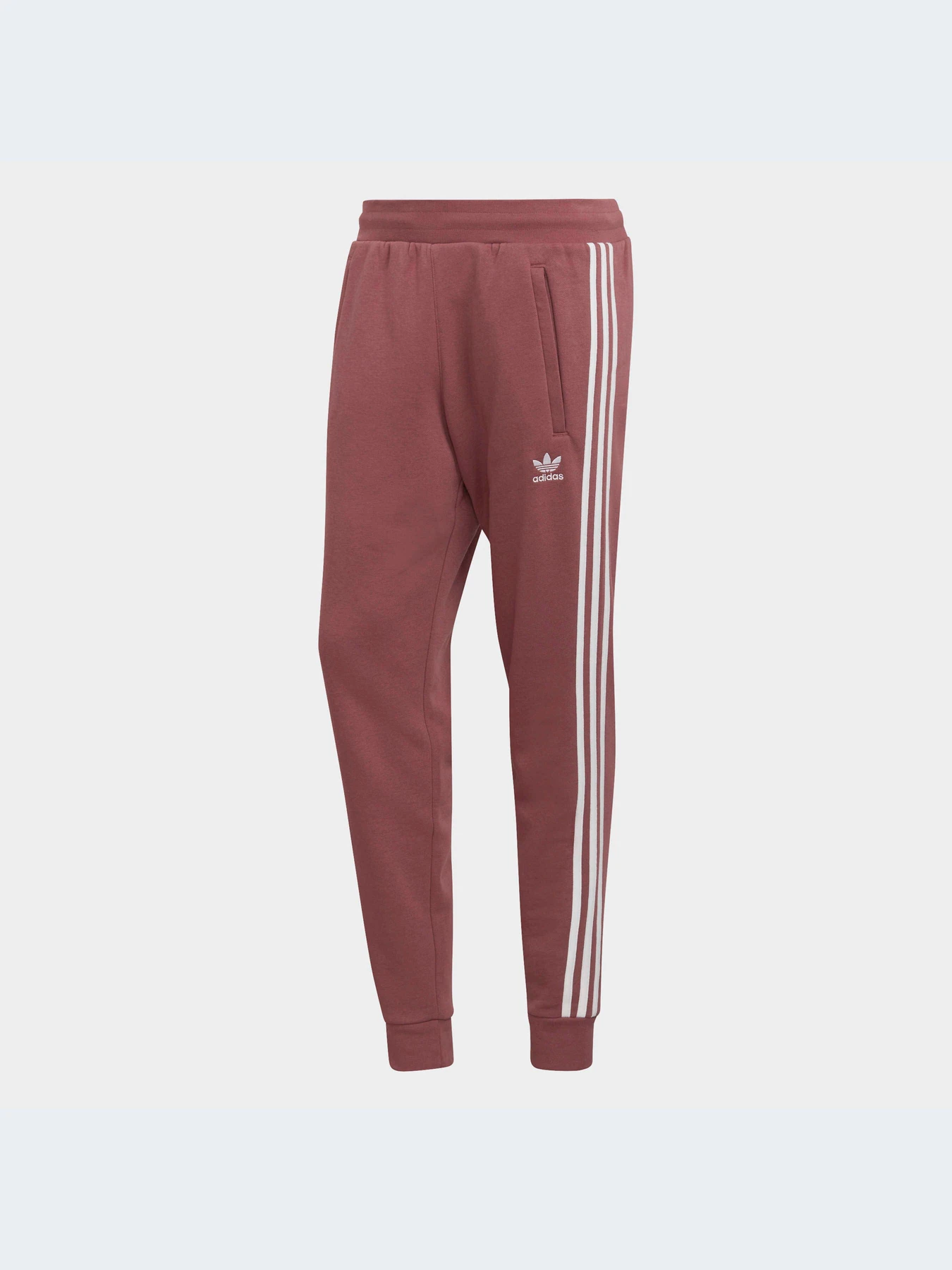 Брюки Adidas Adicolor модель HF2101 Фото