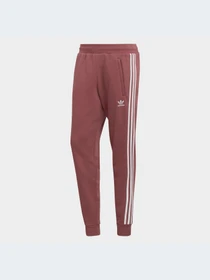 Брюки Adidas Adicolor модель HF2101 Фото