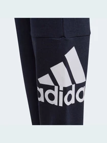 Брюки Adidas модель GN4036 Фото