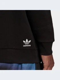 Худі та світшоти Adidas Graphics модель HC7180 Фото
