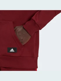 Худи и свитшоты Adidas 3 Stripes модель HC5247 Фото