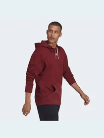 Худи и свитшоты Adidas модель HB6583 Фото