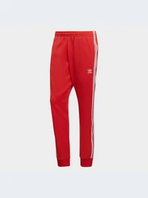 Брюки Adidas Adicolor модель HF2134 Фото
