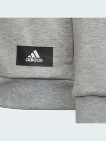 Худі та світшоти Adidas 3 Stripes модель H44344 Фото