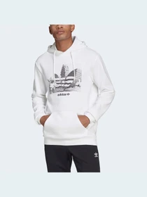 Худи и свитшоты Adidas Graphics модель HC7164 Фото