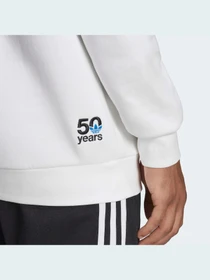 Худи и свитшоты Adidas Graphics модель HC7164 Фото
