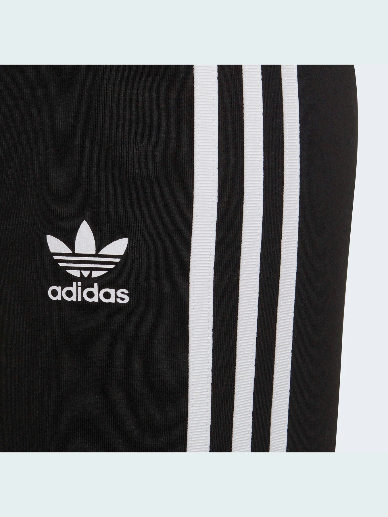 Штани Adidas Adicolor модель HD2025 Фото