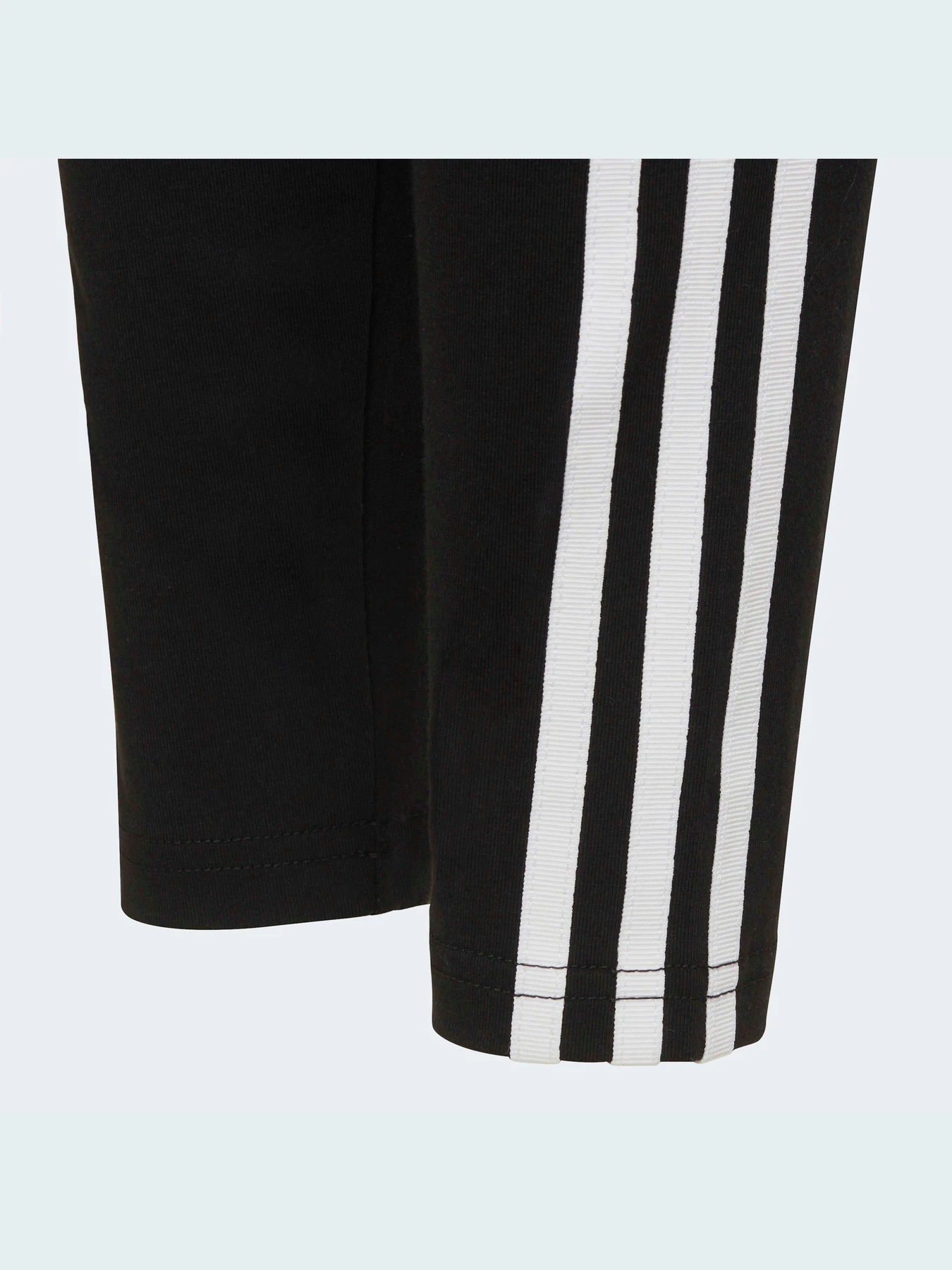 Штани Adidas Adicolor модель HD2025 Фото