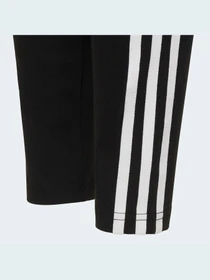 Штани Adidas Adicolor модель HD2025 Фото