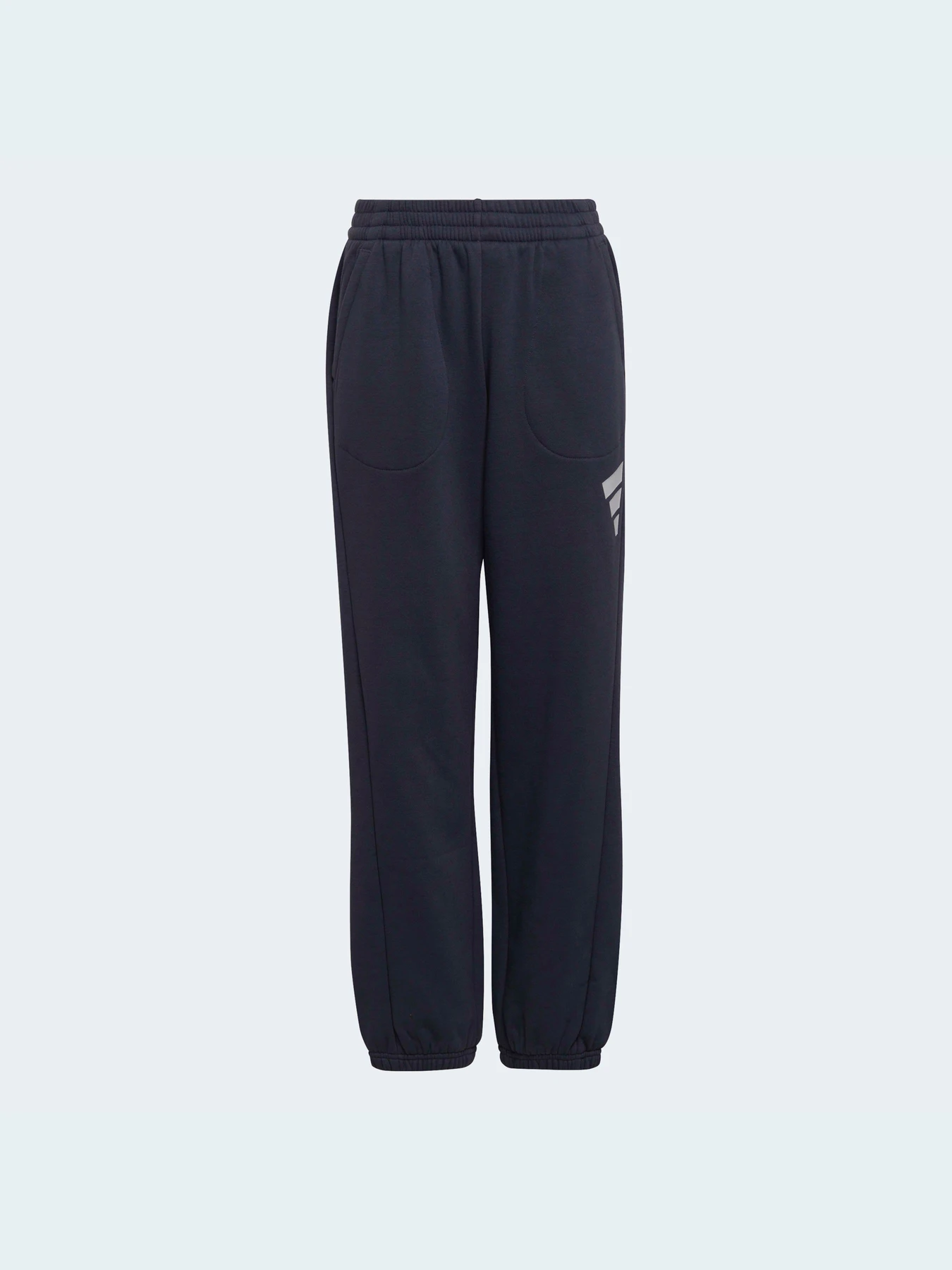 Брюки Adidas модель HF2180 Брюки Adidas модель HF2180 Фото