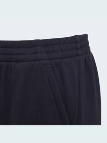 Брюки Adidas модель HF2180 Фото