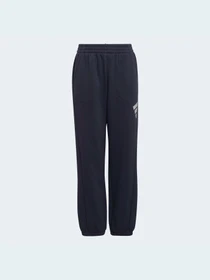 Брюки Adidas модель HF2180 Фото