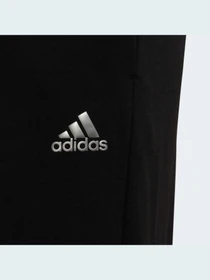 Штани Adidas модель H57222 Фото