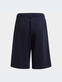 Шорты Adidas модель H59759 Фото