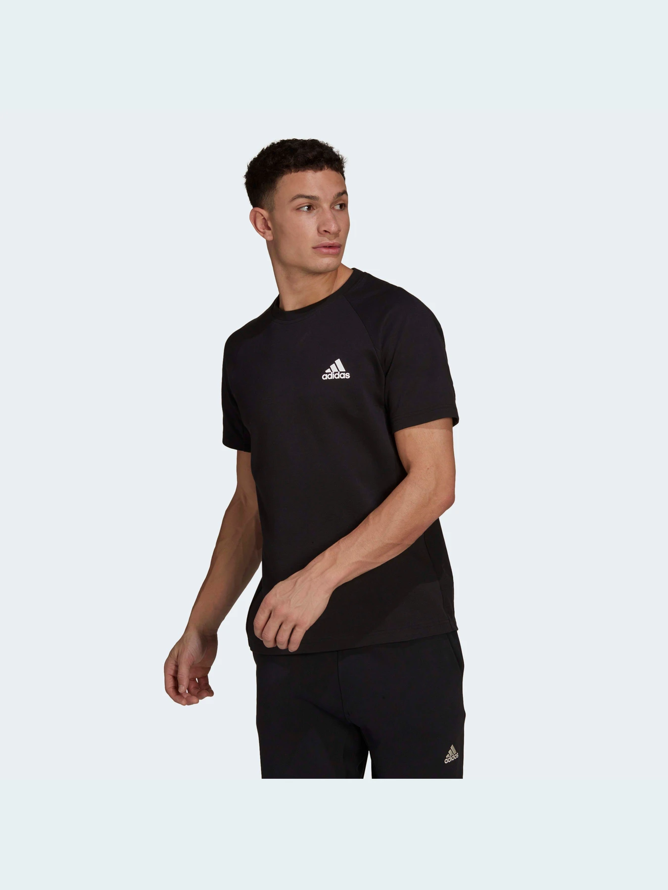 Футболки и поло Adidas модель HE2238 Футболки и поло Adidas модель HE2238 Фото