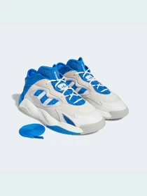 Кроссовки Adidas Streetball модель GX9685 Фото