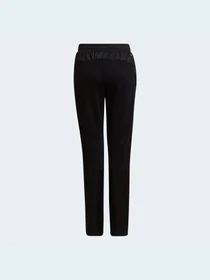 Брюки Adidas модель HD1806 Фото