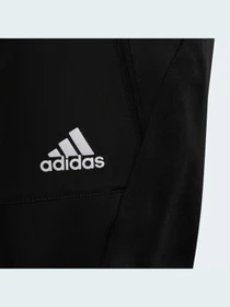 Брюки Adidas модель HD1806 Фото