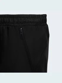 Брюки Adidas модель HD1806 Фото