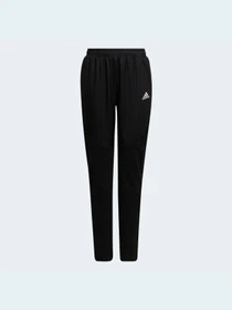 Брюки Adidas модель HD1806 Фото