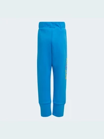 Штани Adidas модель HM2200 Фото