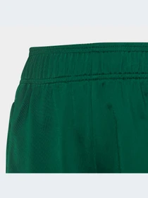 Брюки Adidas Adicolor модель IC3089 Фото