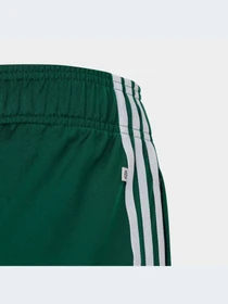 Брюки Adidas Adicolor модель IC3089 Фото