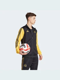 Худі та світшоти Adidas модель HR8833 Фото