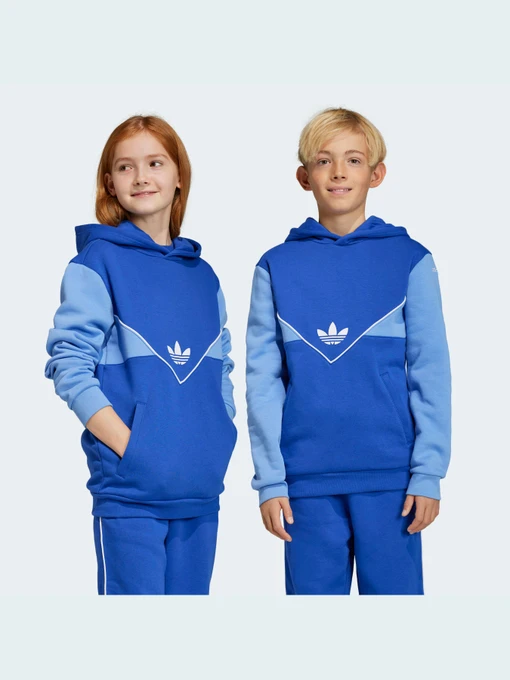 Худи и свитшоты Adidas Adicolor модель IC6227 Фото