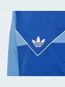 Худи и свитшоты Adidas Adicolor модель IC6227 Фото
