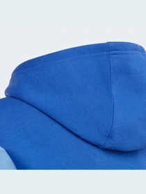 Худи и свитшоты Adidas Adicolor модель IC6227 Фото
