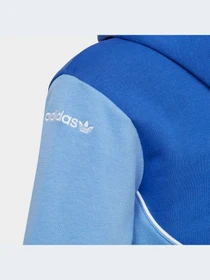 Худи и свитшоты Adidas Adicolor модель IC6227 Фото