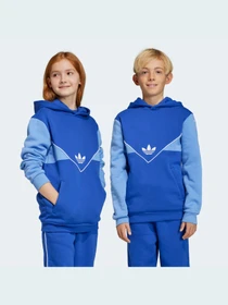 Худи и свитшоты Adidas Adicolor модель IC6227 Фото
