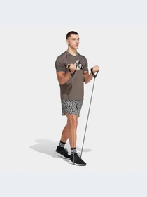 Шорты Adidas модель HR8195 Фото