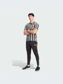 Футболки и поло Adidas модель HR8256 Фото