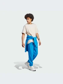 Футболки и поло Adidas Adicolor модель IM4387 Фото