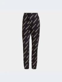Брюки Adidas модель HM4887 Фото