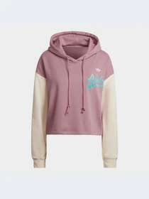 Худі та світшоти Adidas Graphics модель HD9784 Фото